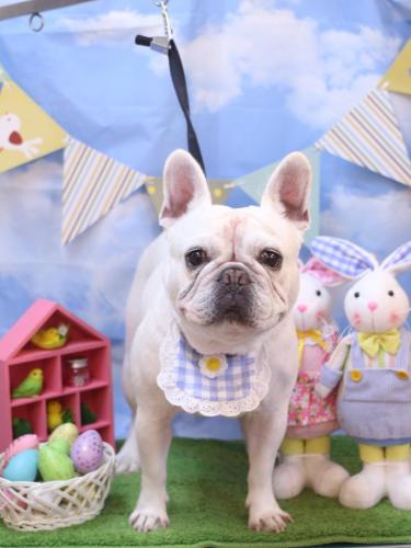 20240306ぶーくん